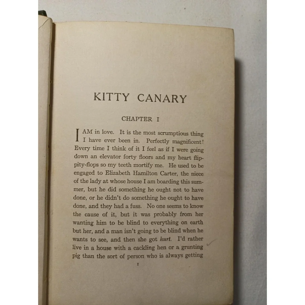 Vintage 1918 Kitty Canary Kate Langley Bosher Novel Hardcover Harper Brothers Bo